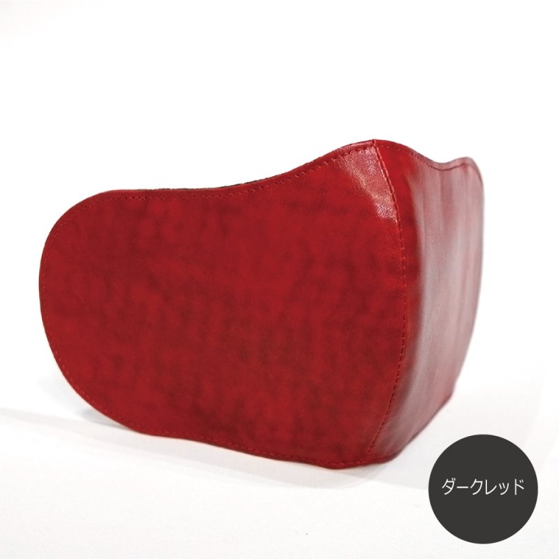 画像4: ライダー用マスクプロテクター (4)