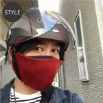 画像9: ライダー用マスクプロテクター (9)
